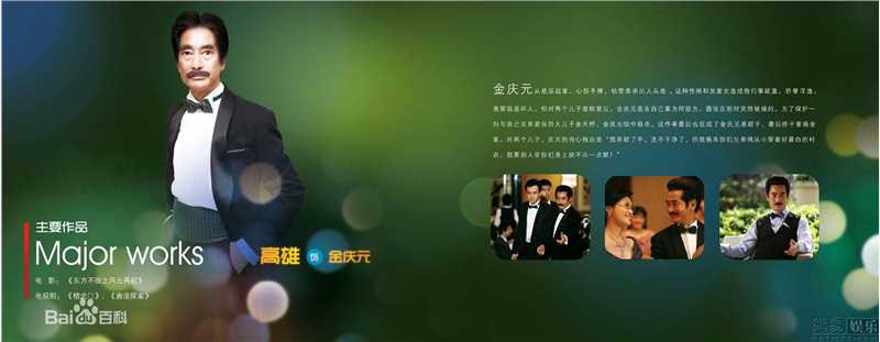 最优质陈慧琳(Kelly Chen)《金枝玉叶》精彩图册