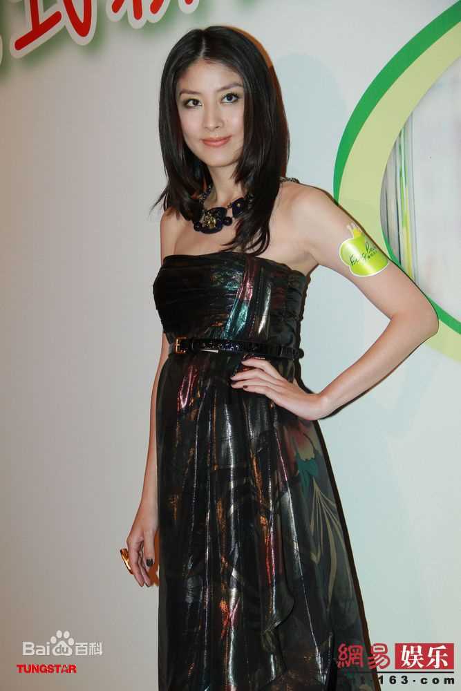 最优质陈慧琳(Kelly Chen)《金枝玉叶》精彩图册