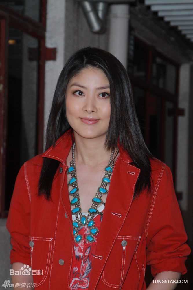最优质陈慧琳(Kelly Chen)精彩图册