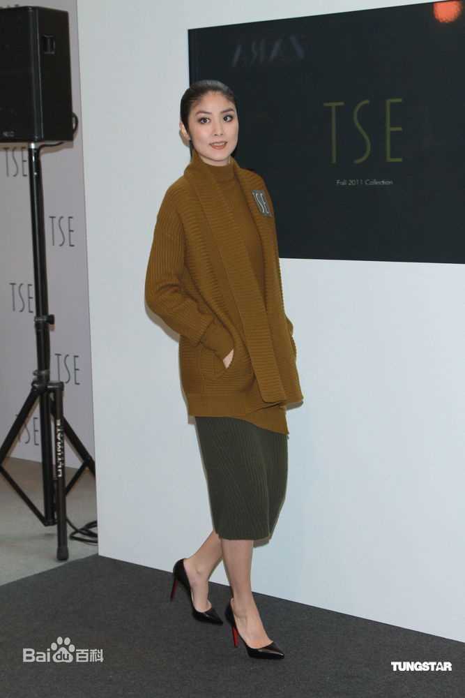 最优质陈慧琳(Kelly Chen)精彩图册