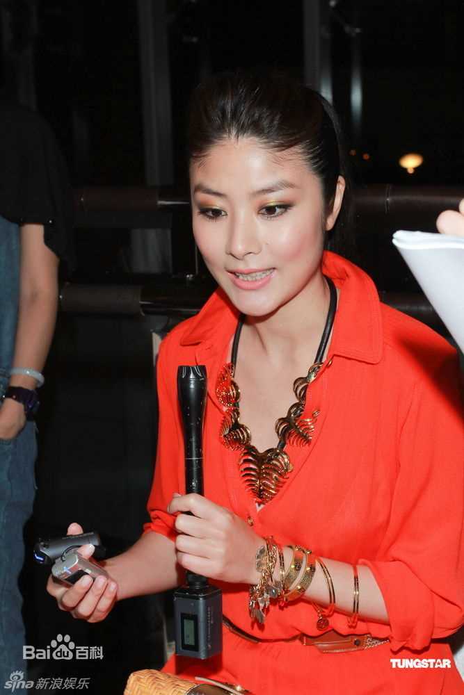 最优质陈慧琳(Kelly Chen)精彩图册