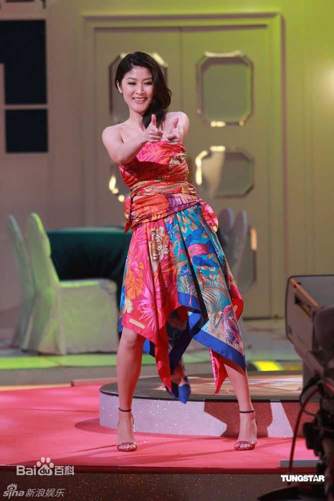 最优质陈慧琳(Kelly Chen)精彩图册