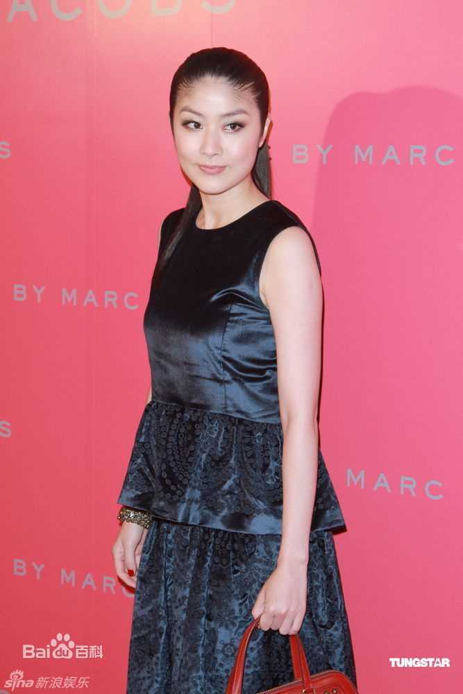 最优质陈慧琳(Kelly Chen)精彩图册
