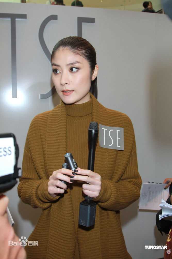 最优质陈慧琳(Kelly Chen)精彩图册