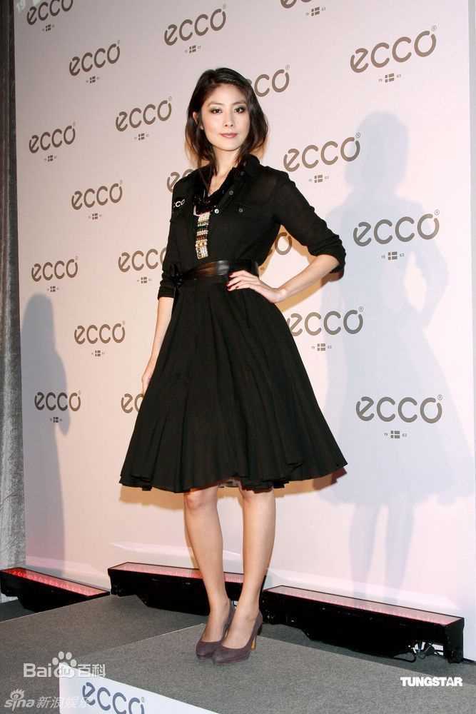 最优质陈慧琳(Kelly Chen)精彩图册