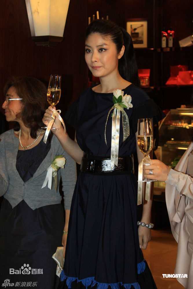 精选陈慧琳(Kelly Chen)精彩图册