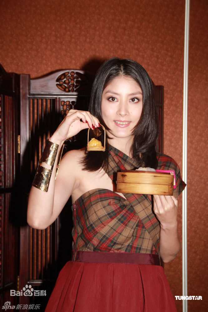 精选陈慧琳(Kelly Chen)精彩图册