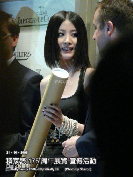 陈慧琳(Kelly Chen)精彩图册