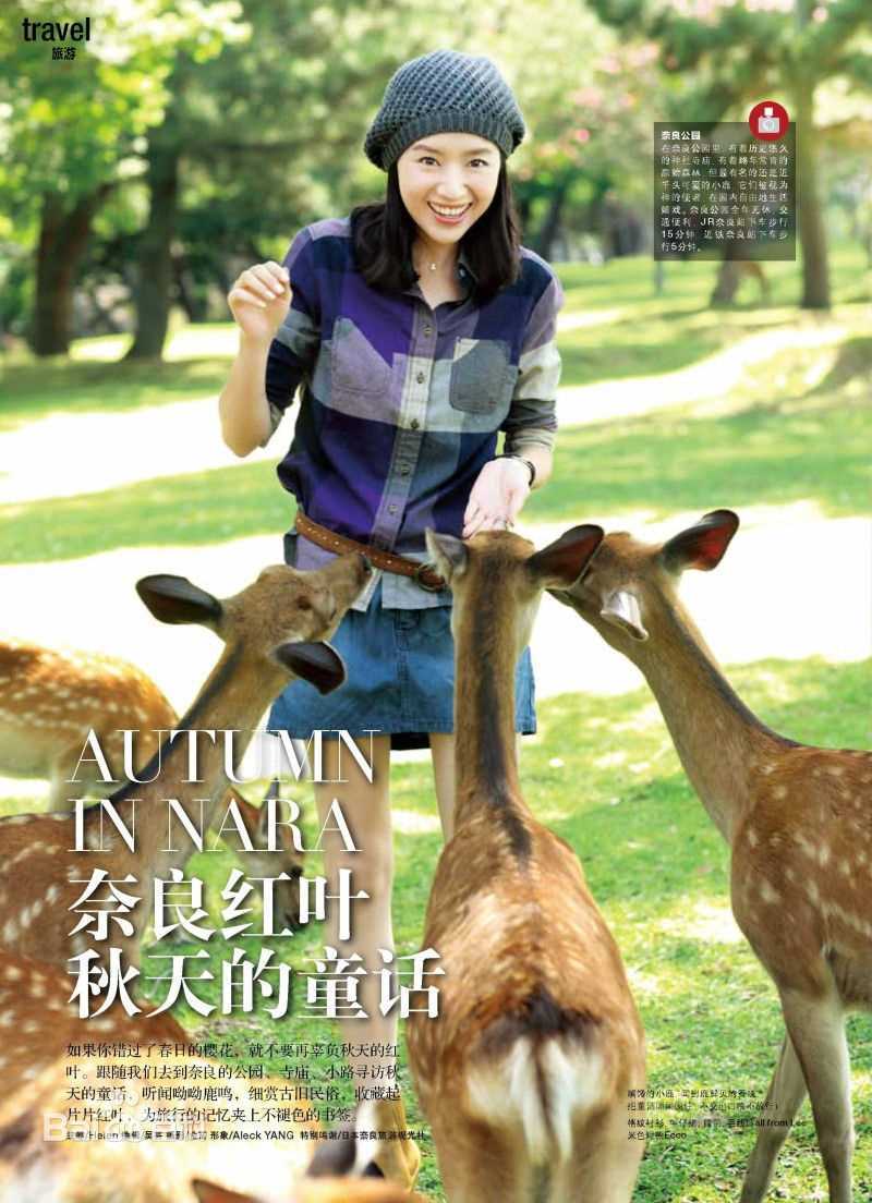 董洁(Angel)公益之星图册素颜照相册