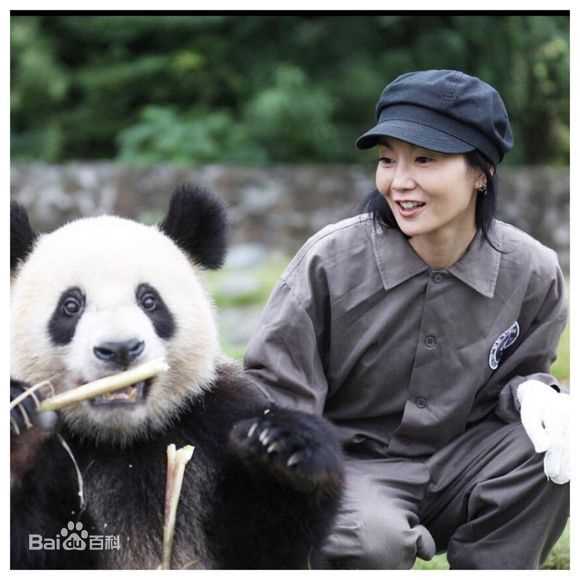 张曼玉(Maggie Cheung)热心公益壁纸壁纸