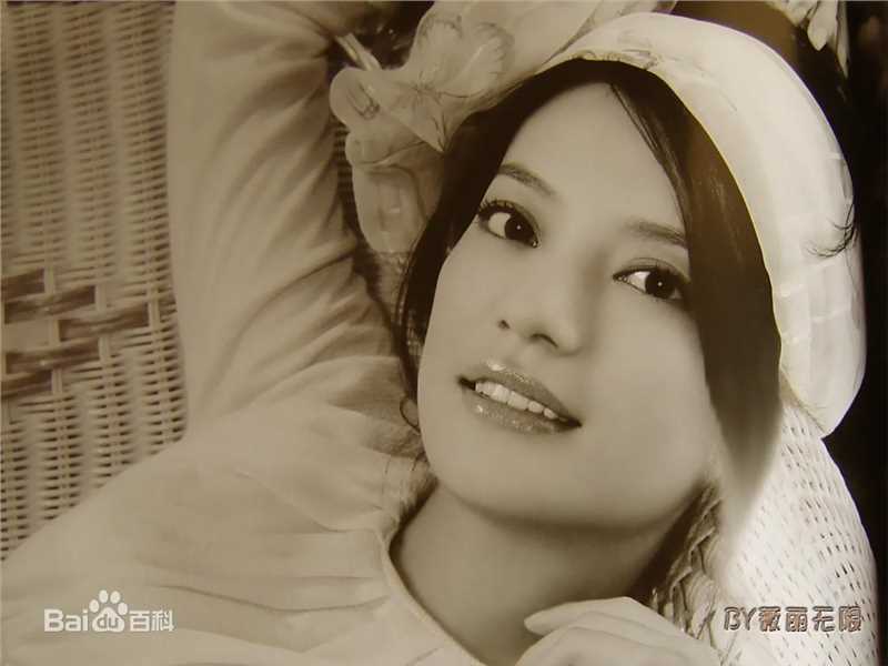 赵薇(Vicki Zhao，Zhao Wei)亚洲巨星性感图片图集