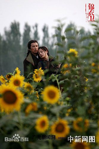 赵薇(Vicki Zhao，Zhao Wei)上海国际电影节国际影后，最优质剧照及获奖