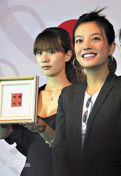赵薇(Vicki Zhao，Zhao Wei)热心公益慈善：图册