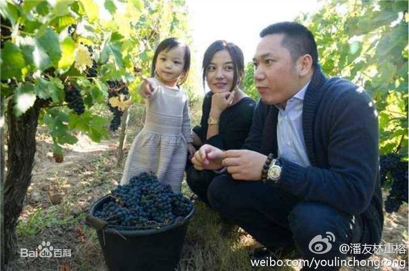 赵薇(Vicki Zhao，Zhao Wei)全家福图片图集