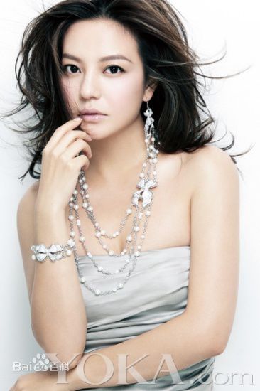 赵薇(Vicki Zhao，Zhao Wei)事业和家庭双丰收：图册