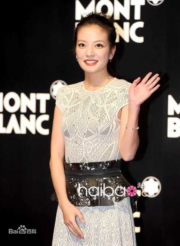 赵薇(Vicki Zhao，Zhao Wei)事业和家庭双丰收：图册