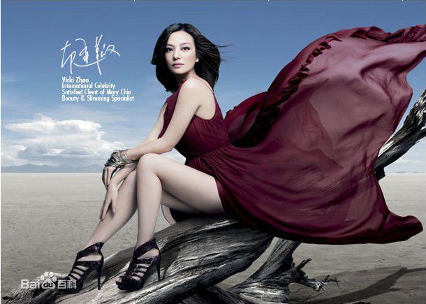 赵薇(Vicki Zhao，Zhao Wei)事业和家庭双丰收：图册