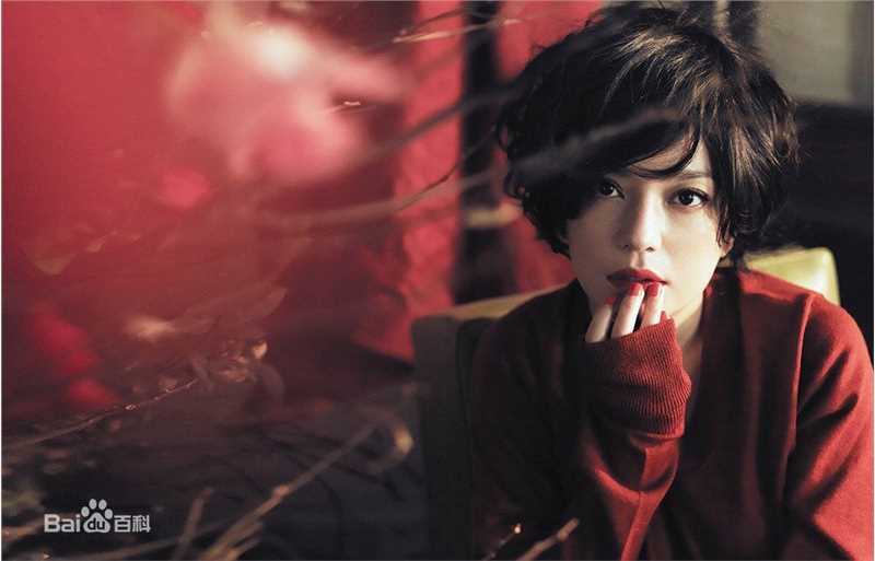 赵薇(Vicki Zhao，Zhao Wei)嘉人素颜照相册
