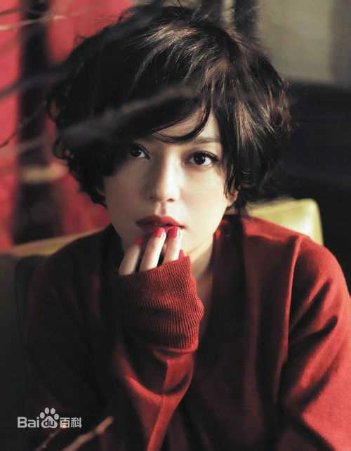 赵薇(Vicki Zhao，Zhao Wei)嘉人素颜照相册