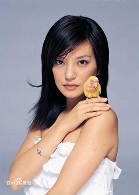 赵薇(Vicki Zhao，Zhao Wei)嘉人素颜照相册