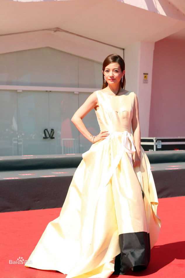 赵薇(Vicki Zhao，Zhao Wei)威尼斯电影节壁纸壁纸