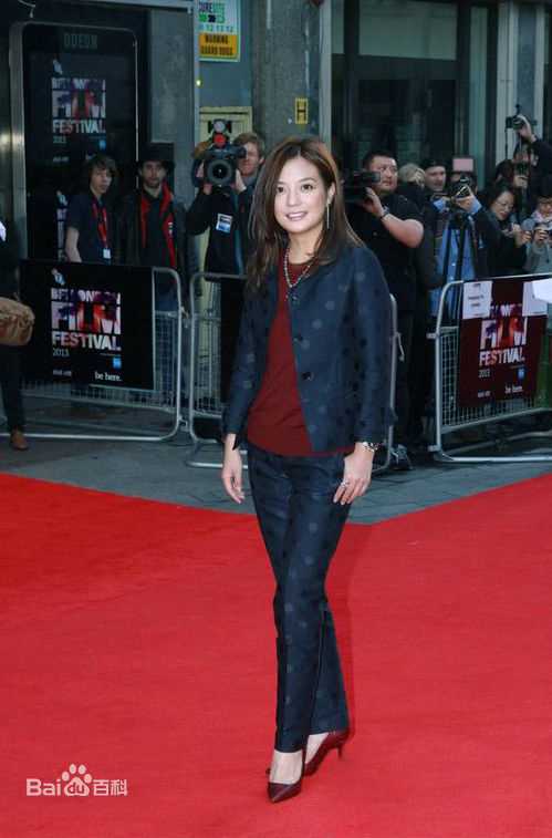 赵薇(Vicki Zhao，Zhao Wei)伦敦电影节图册