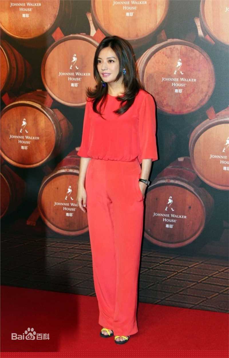 赵薇(Vicki Zhao，Zhao Wei)多感官艺术展素颜照相册