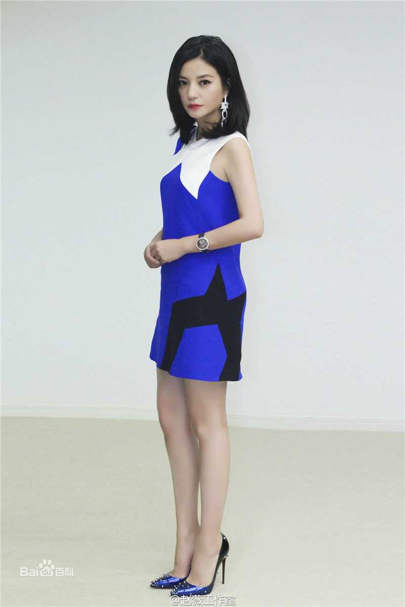 赵薇(Vicki Zhao，Zhao Wei)上海电影节图册