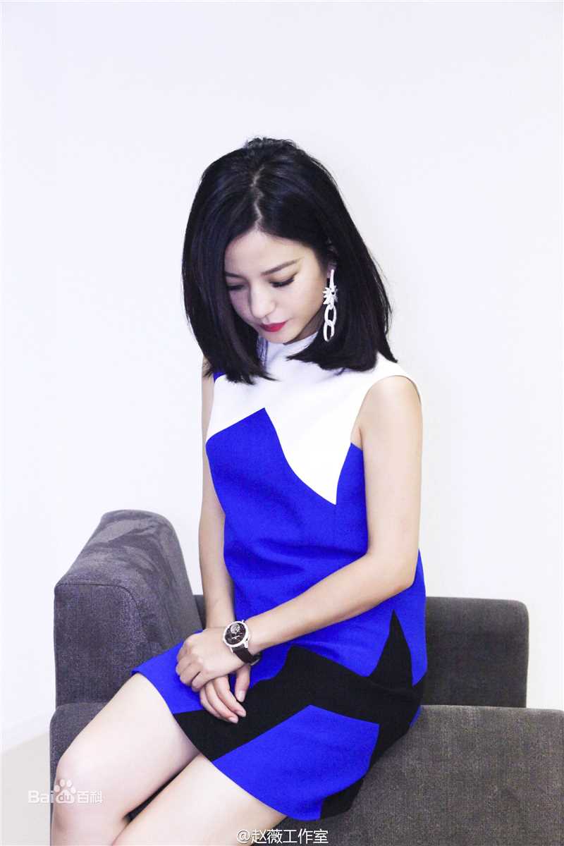 赵薇(Vicki Zhao，Zhao Wei)上海电影节图册