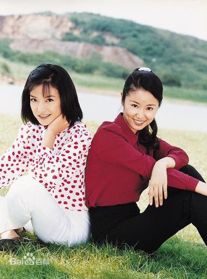 最全赵薇(Vicki Zhao，Zhao Wei)精彩图册