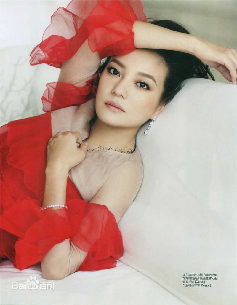 最新赵薇(Vicki Zhao，Zhao Wei)精彩图册2