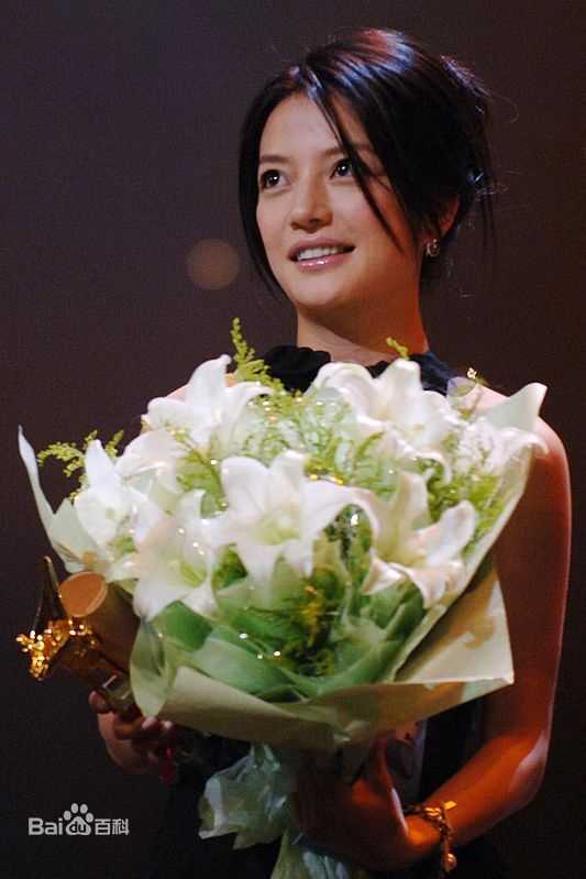 最全赵薇(Vicki Zhao，Zhao Wei)精彩图册1
