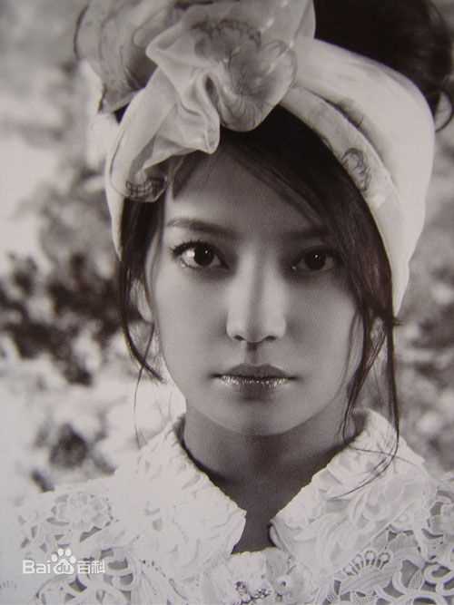 最全赵薇(Vicki Zhao，Zhao Wei)精彩图册1