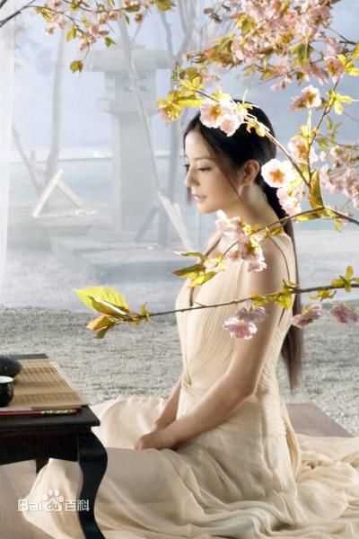 最全赵薇(Vicki Zhao，Zhao Wei)精彩图册1