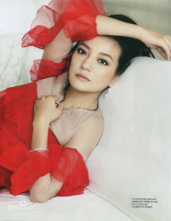 最全赵薇(Vicki Zhao，Zhao Wei)精彩图册1