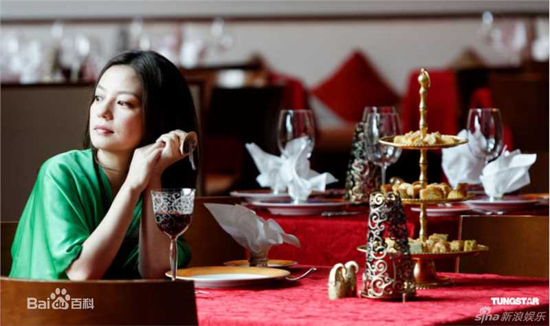 最全赵薇(Vicki Zhao，Zhao Wei)精彩图册