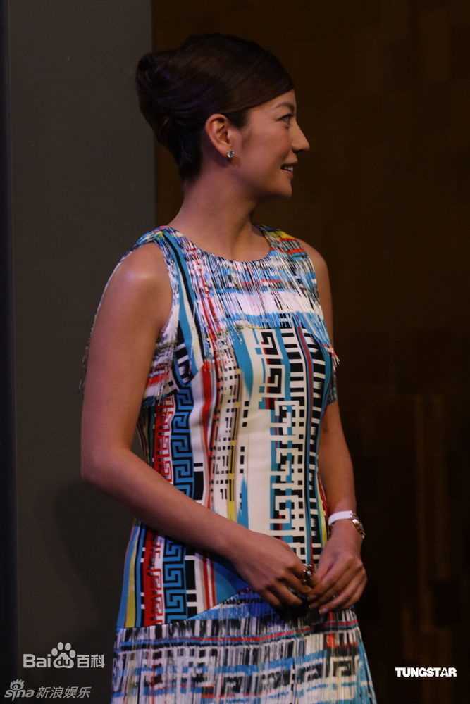 最全赵薇(Vicki Zhao，Zhao Wei)精彩图册