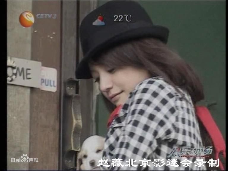 高清赵薇(Vicki Zhao，Zhao Wei)精彩图册