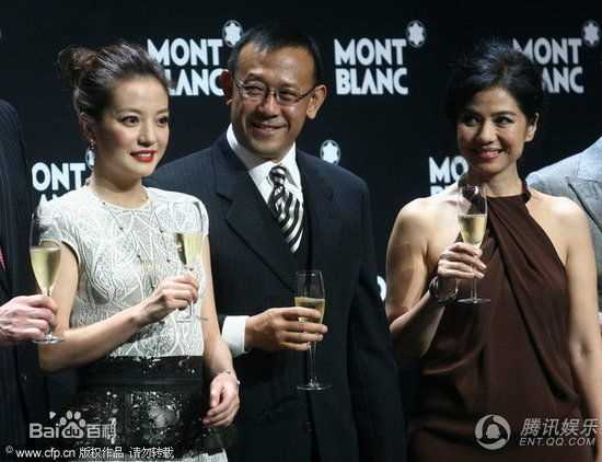 最优质赵薇(Vicki Zhao，Zhao Wei)精彩图册