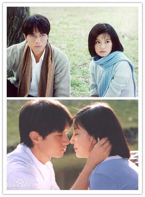 最优质赵薇(Vicki Zhao，Zhao Wei)精彩图册