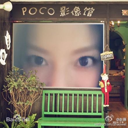 最优质赵薇(Vicki Zhao，Zhao Wei)精彩图册