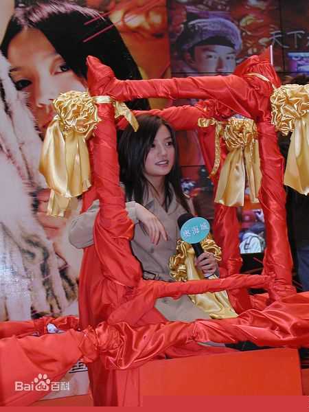 最优质赵薇(Vicki Zhao，Zhao Wei)精彩图册