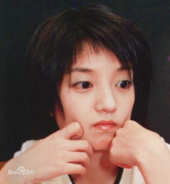 最优质赵薇(Vicki Zhao，Zhao Wei)精彩图册