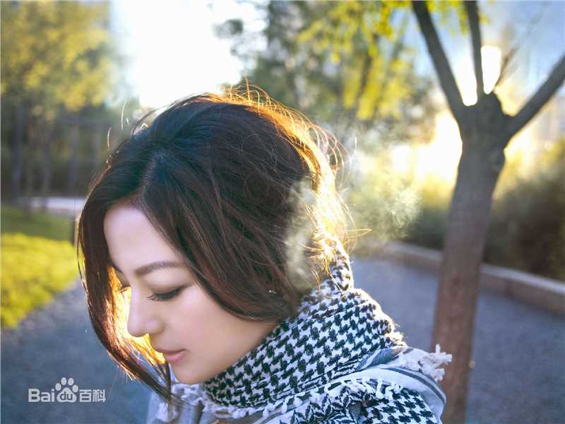 最新赵薇(Vicki Zhao，Zhao Wei)精彩图册1