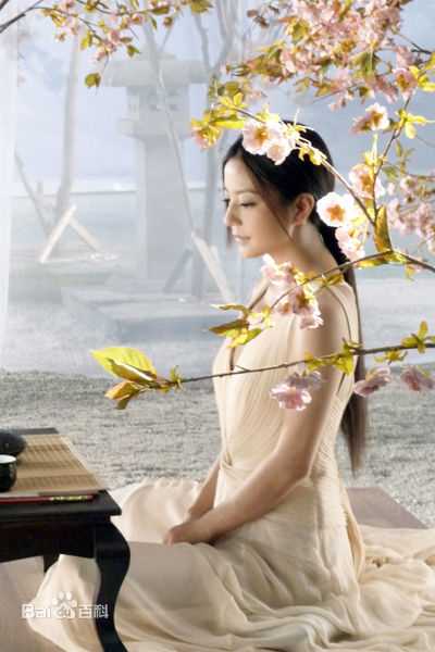 最新赵薇(Vicki Zhao，Zhao Wei)精彩图册1