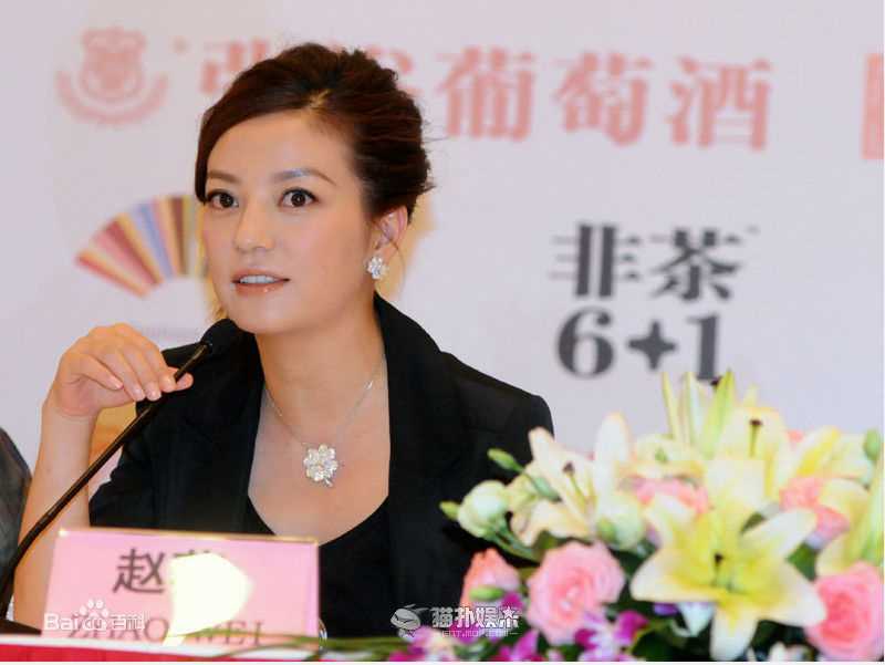 高清赵薇(Vicki Zhao，Zhao Wei)精彩图册1