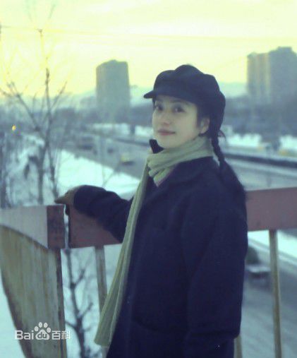 高清赵薇(Vicki Zhao，Zhao Wei)精彩图册1