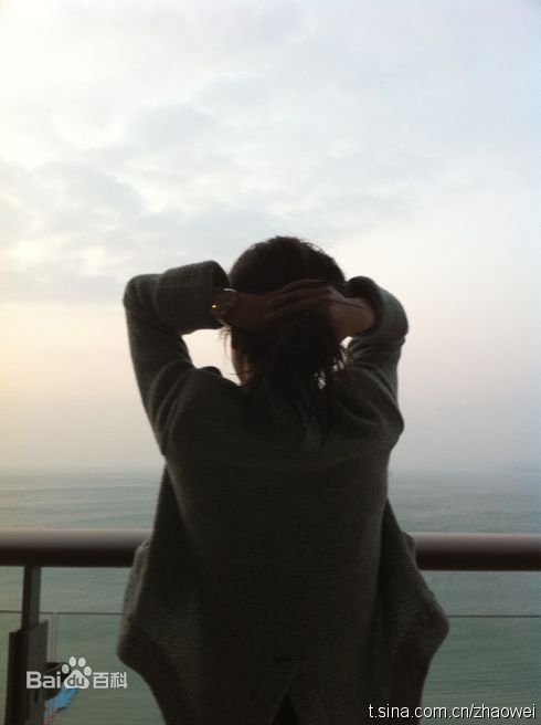 最全赵薇(Vicki Zhao，Zhao Wei)精彩图册