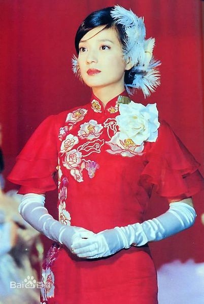 最全赵薇(Vicki Zhao，Zhao Wei)精彩图册