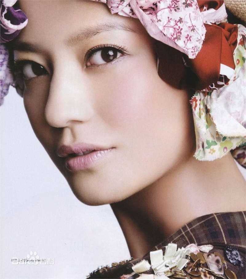 最全赵薇(Vicki Zhao，Zhao Wei)精彩图册